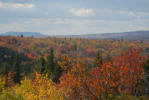 Thumbnail - Dolly Sods in fall