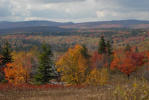 Thumbnail - Dolly Sods fall vista