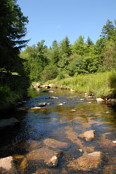 Dolly Sods mountain stream